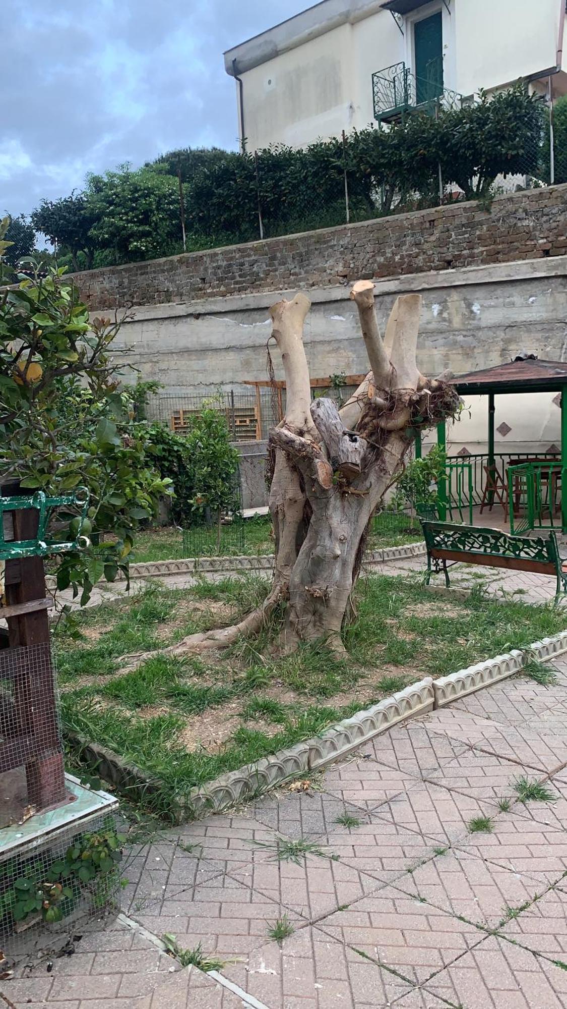 B&B Civitavecchia La Casetta Con Giardino Exteriör bild